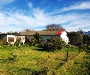  New Listing Stanford  - Exclusive Mandate